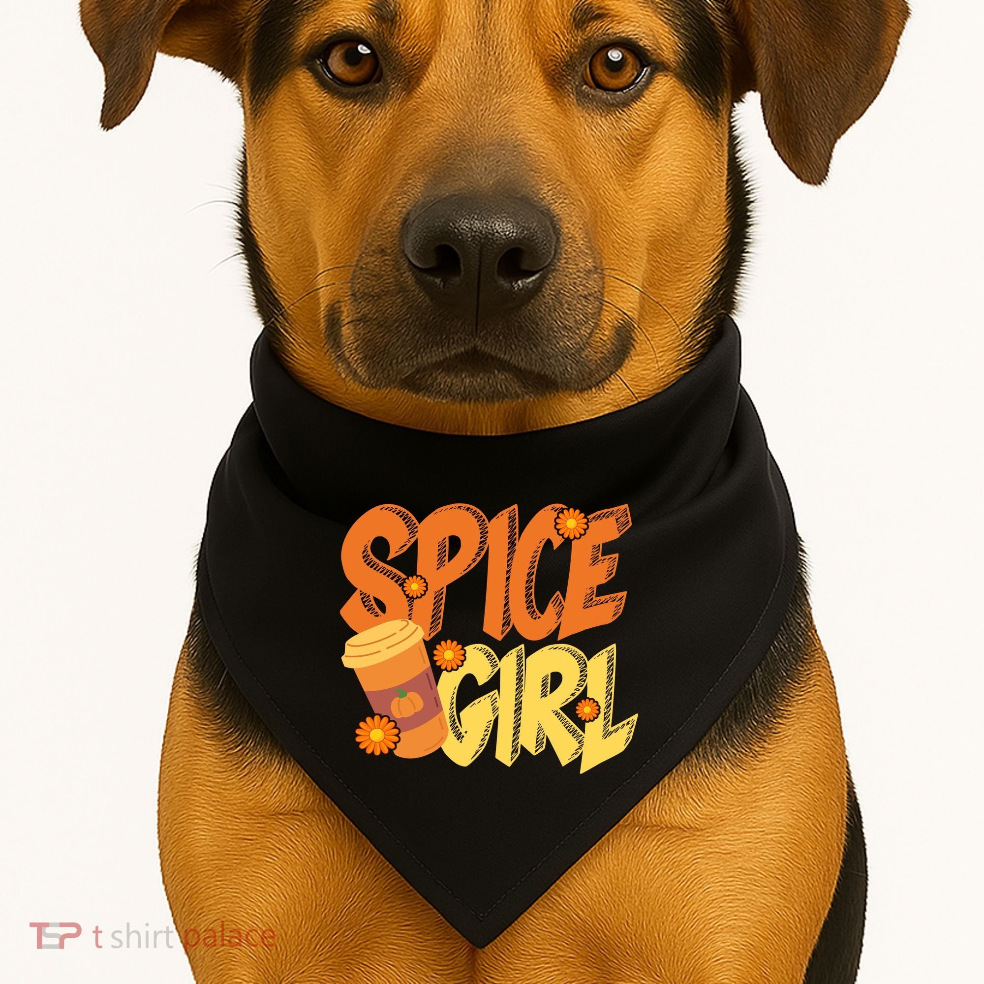 Spice Girl Pumpkin Coffee Lover Fall USA-Made Doggie Bandana