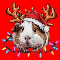 Santa Guinea Pig Christmas Lights Guinea Pig Reindeer Xmas Santa Hat thumb 1