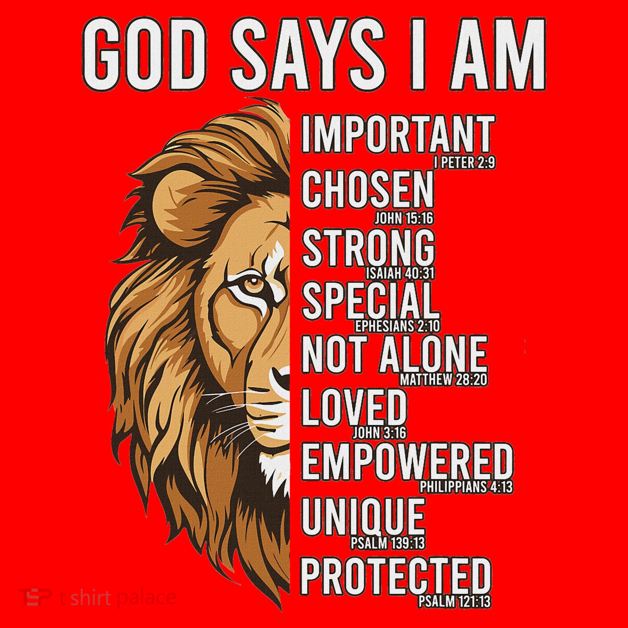 S God Says I Am Lion Christian Santa Hat