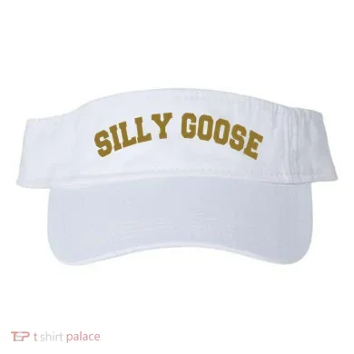 Visor