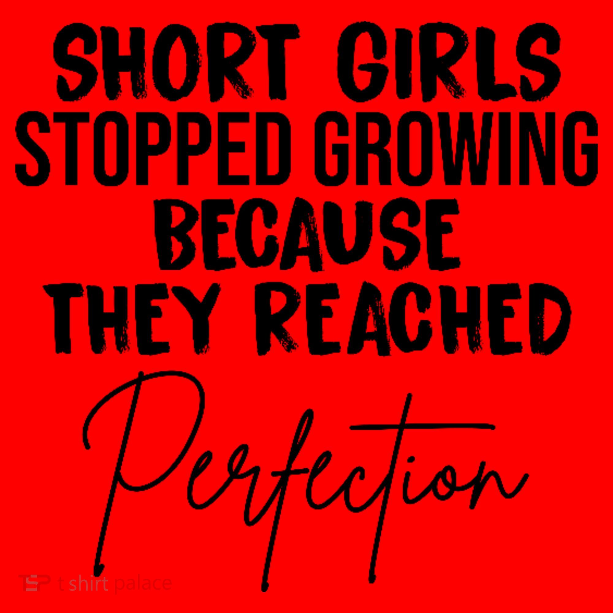 Short Girls Stopped Growing Perfection Santa Hat