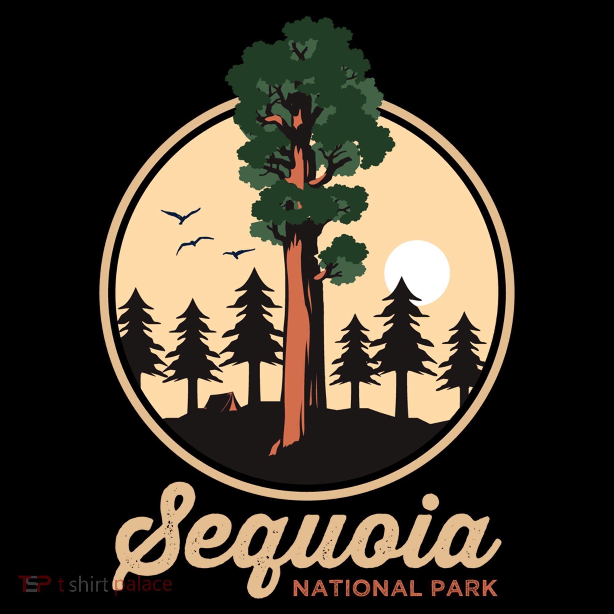 Sequoia General Sher Tree Camping Sequoia National Park Cute Gift Coffee Mug
