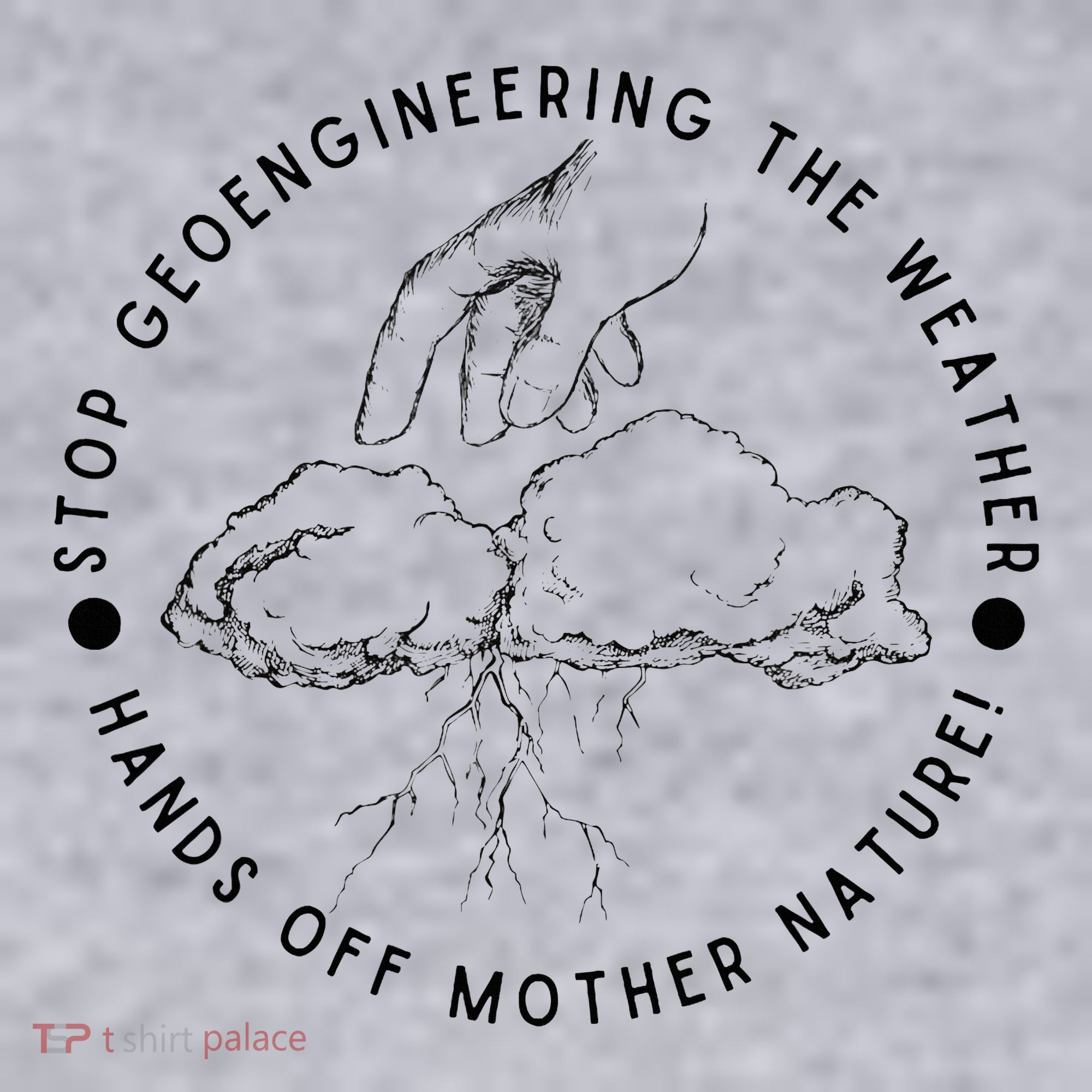 Stop Geoengineering The Weather Anti Government Women's Sweatshirt