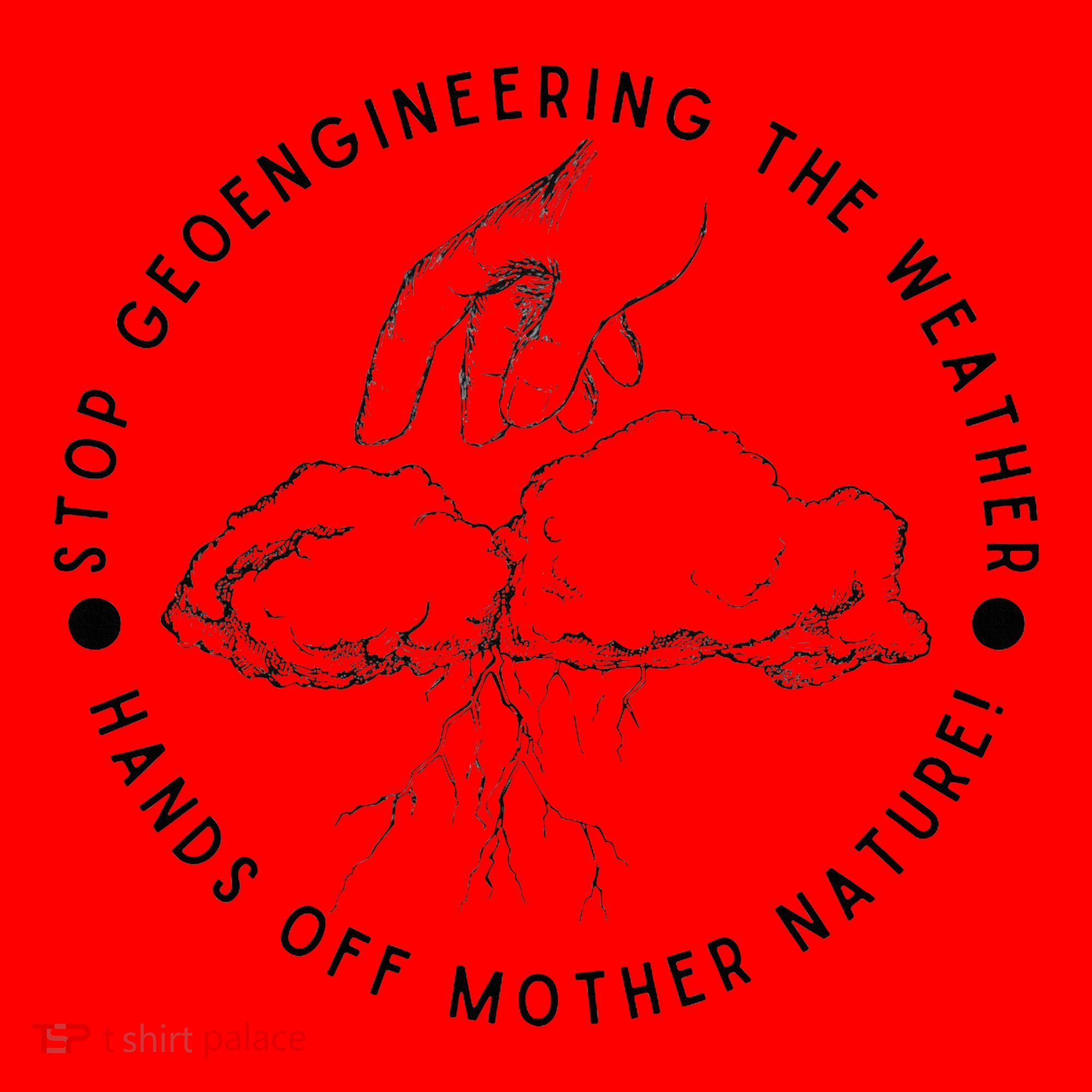Stop Geoengineering The Weather Anti Government Santa Hat