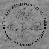 Stop Geoengineering The Weather Anti Government Toddler Hoodie thumb 2