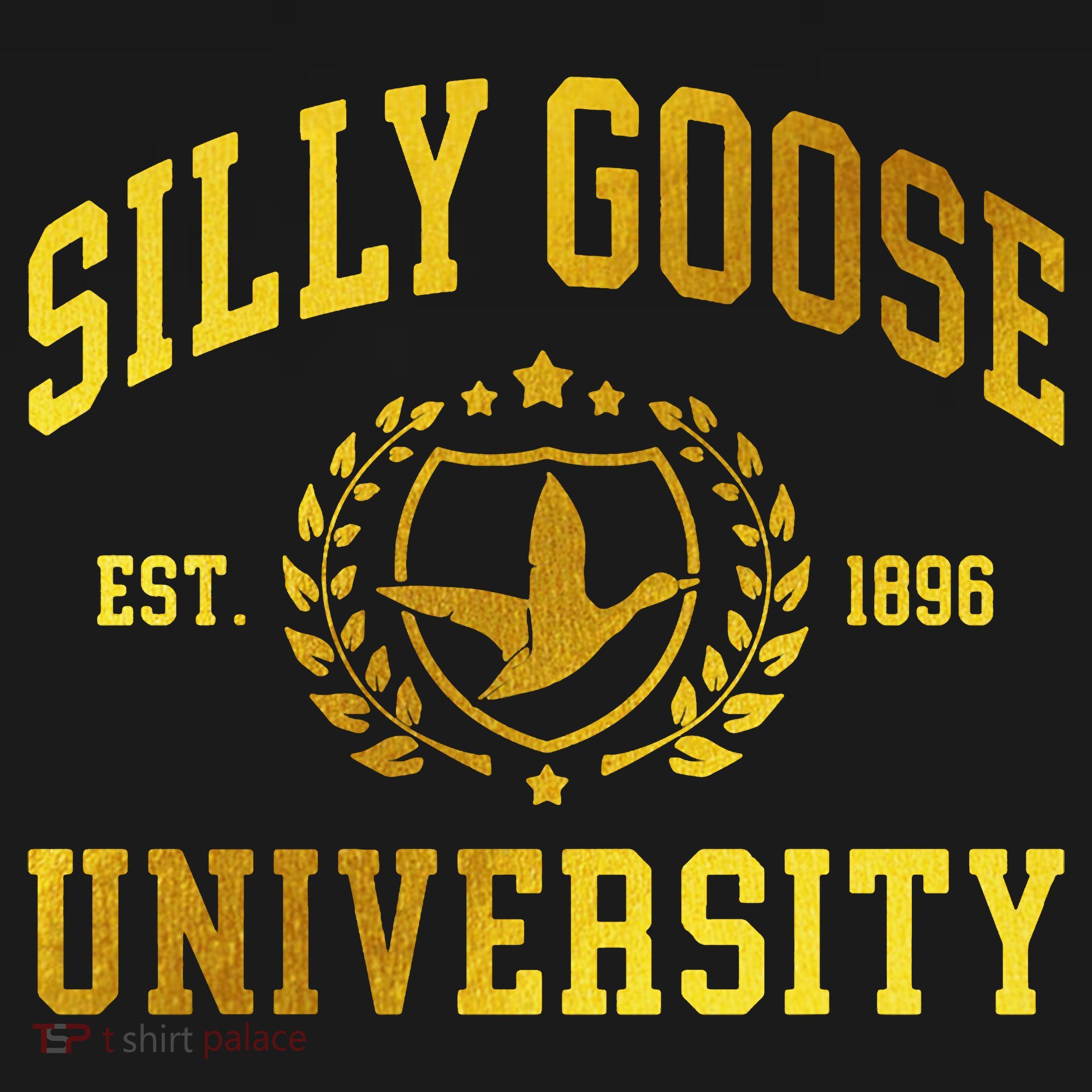 Silly Goose University Meme Funny Kids T-Shirt