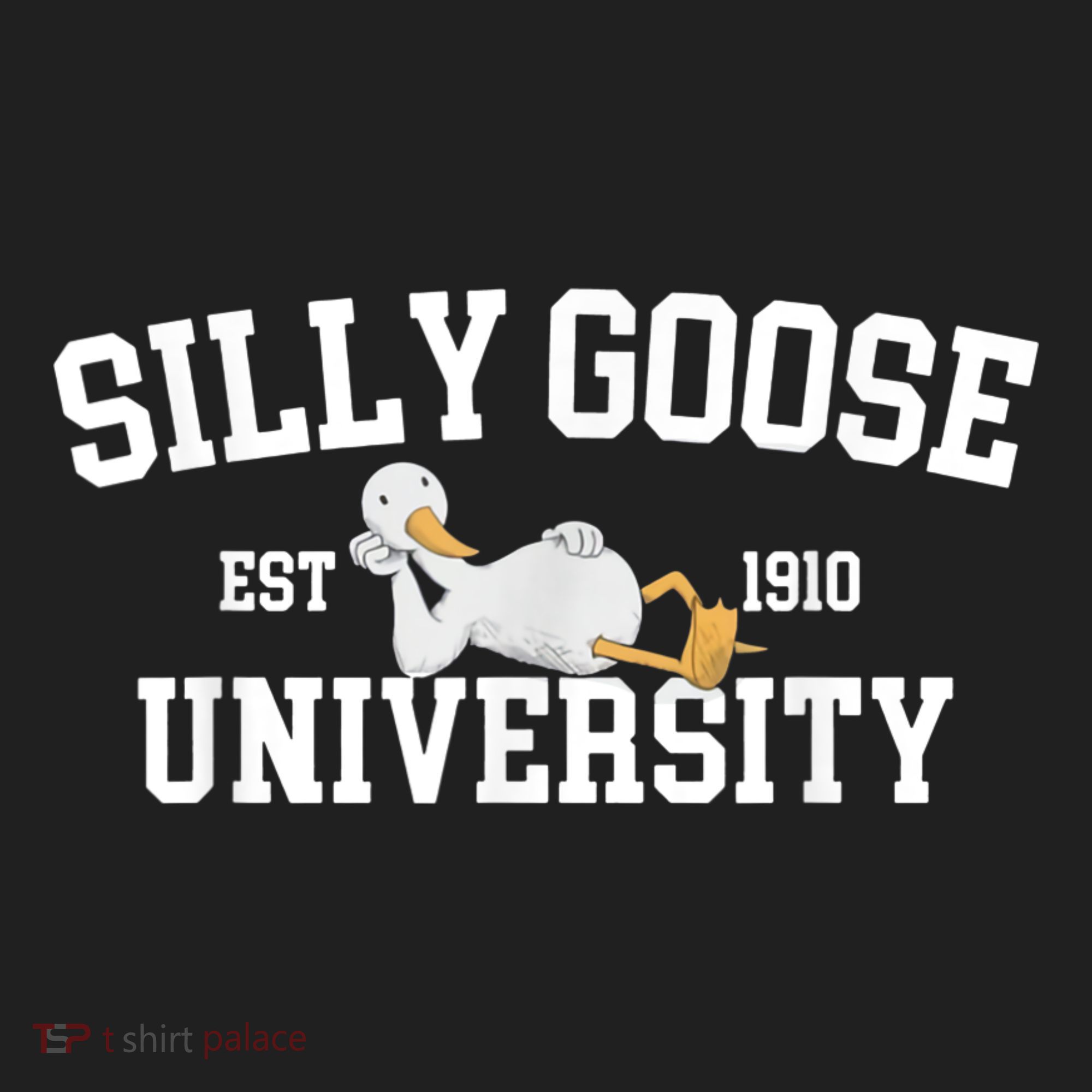 Silly Goose University Silly Goose Funny Meme School Bird Beanie