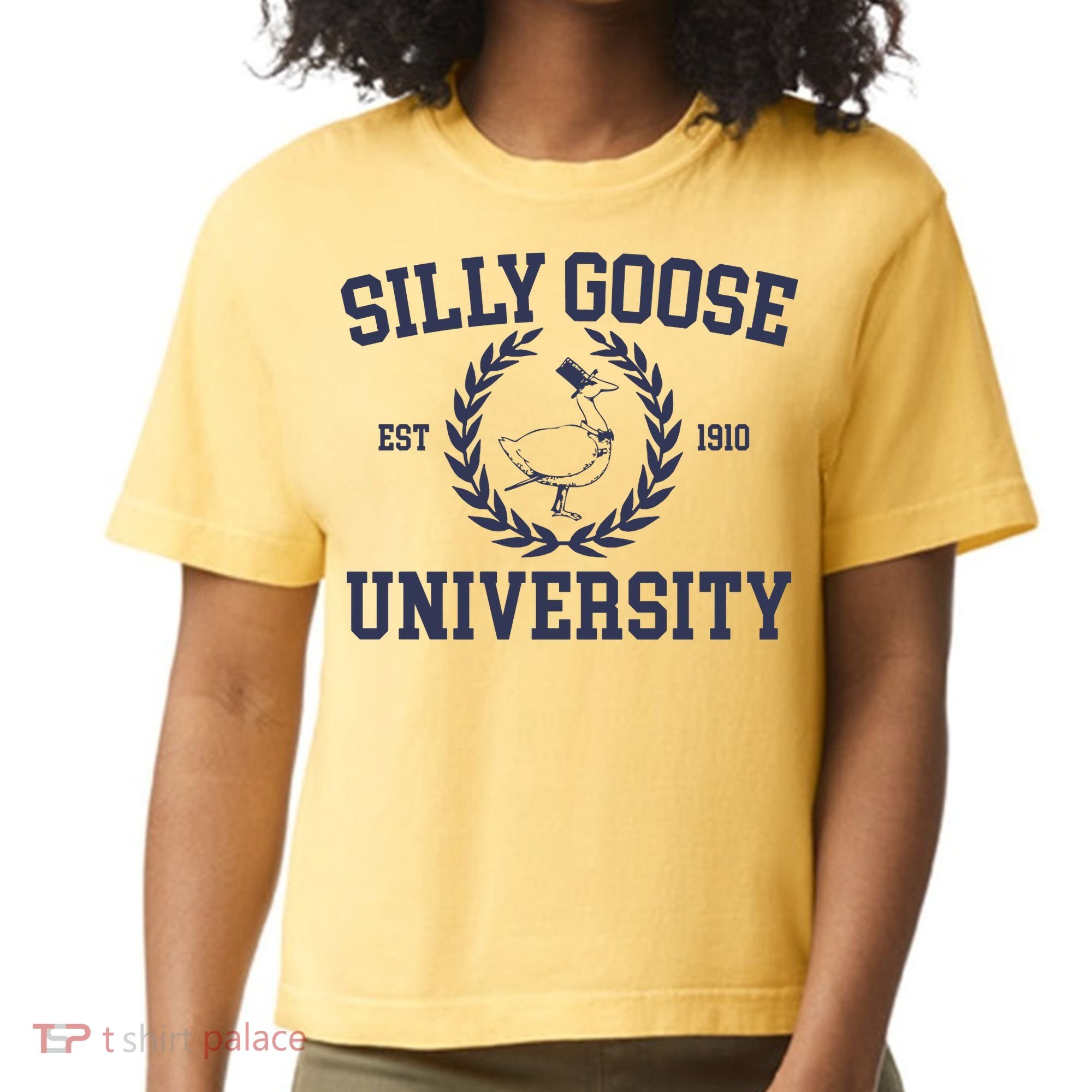 Silly Goose University Funny Silly Goose Meme Bird Lover Comfort Colors Boxy T-Shirt