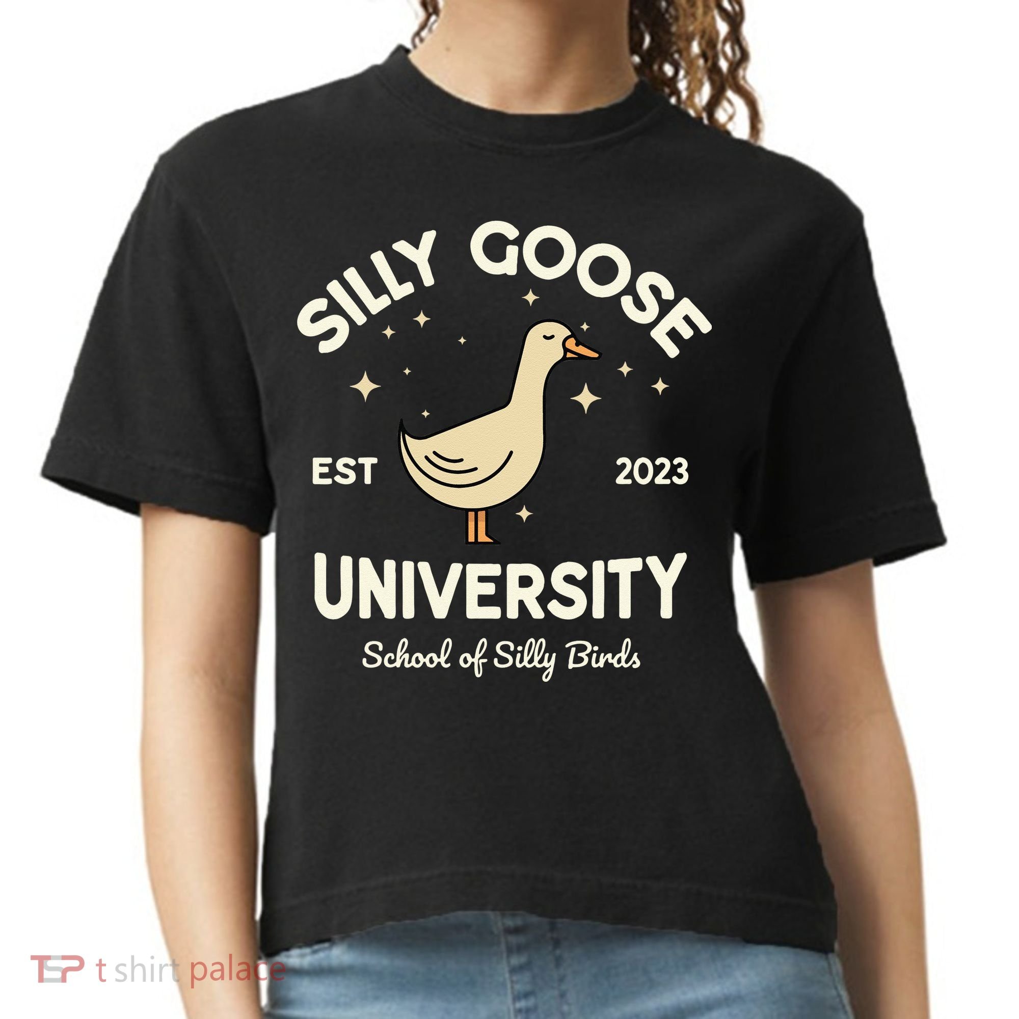 Silly Goose University School Of Silly Birds Sweatshirt Comfort Colors Boxy T-Shirt