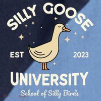 Silly Goose University School Of Silly Birds Sweatshirt Raglan Baseball Sleeve Shirt thumb 2