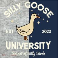 Silly Goose University School Of Silly Birds Sweatshirt Kids Colorblock Raglan Jersey thumb 2