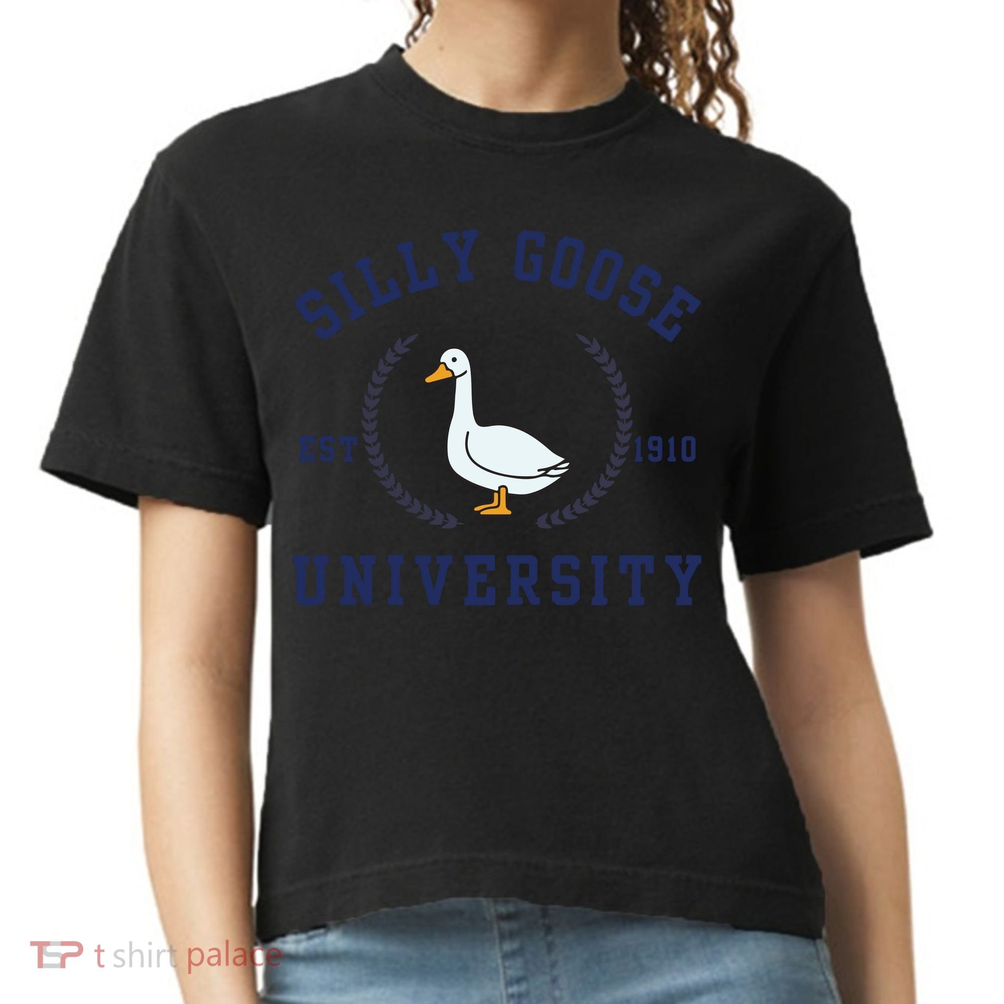 Silly Goose University Comfort Colors Boxy T-Shirt