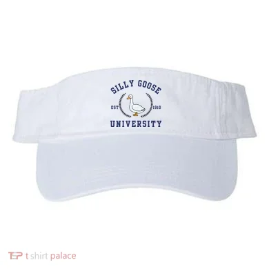 Visor