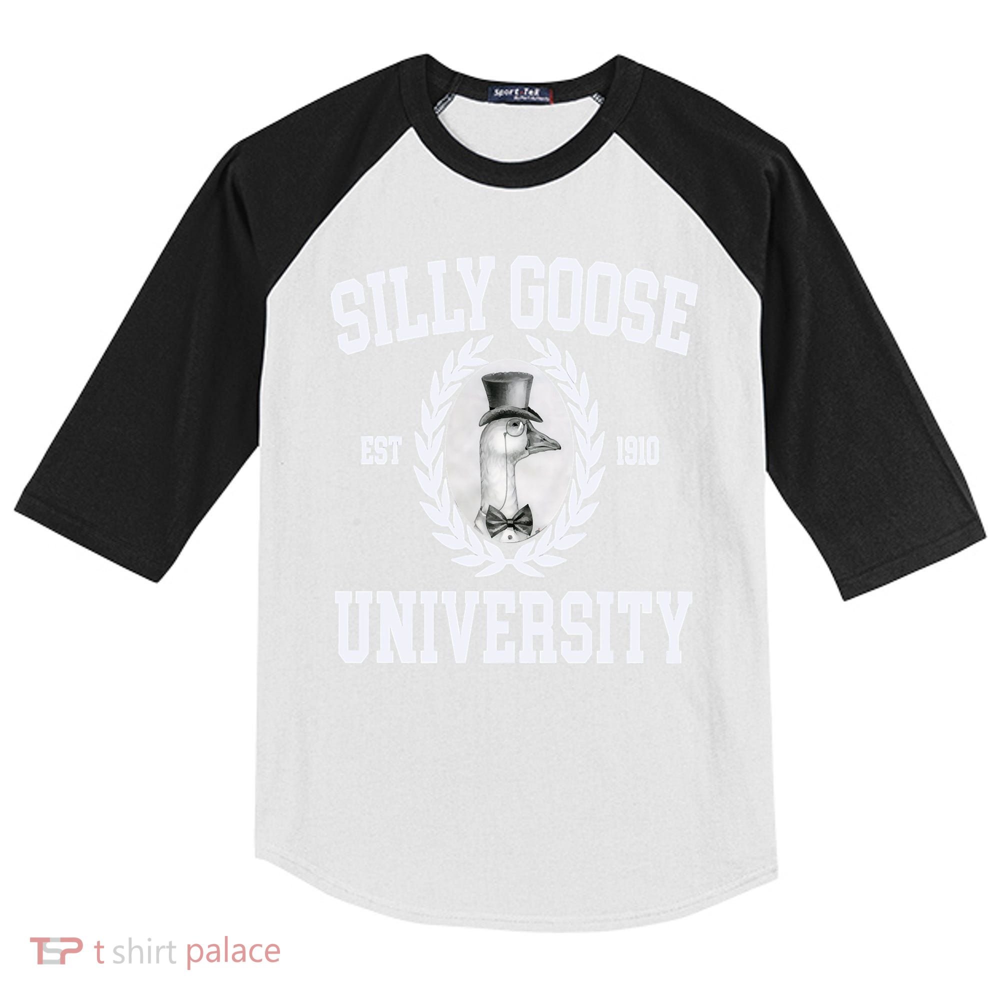 Silly Goose University Silly Goose Meme Costume Kids Colorblock Raglan Jersey
