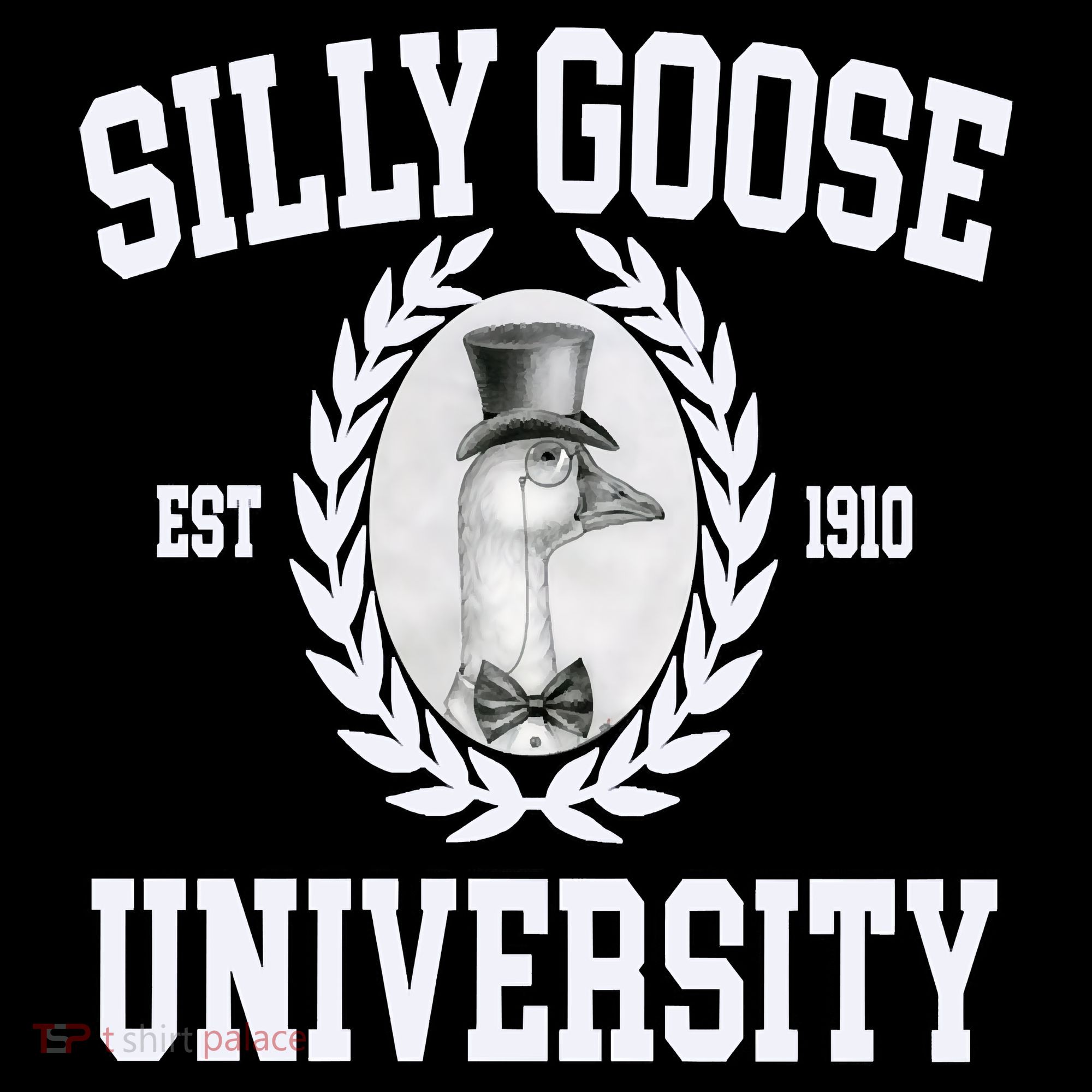 Silly Goose University Silly Goose Meme Costume Kids Colorblock Raglan Jersey