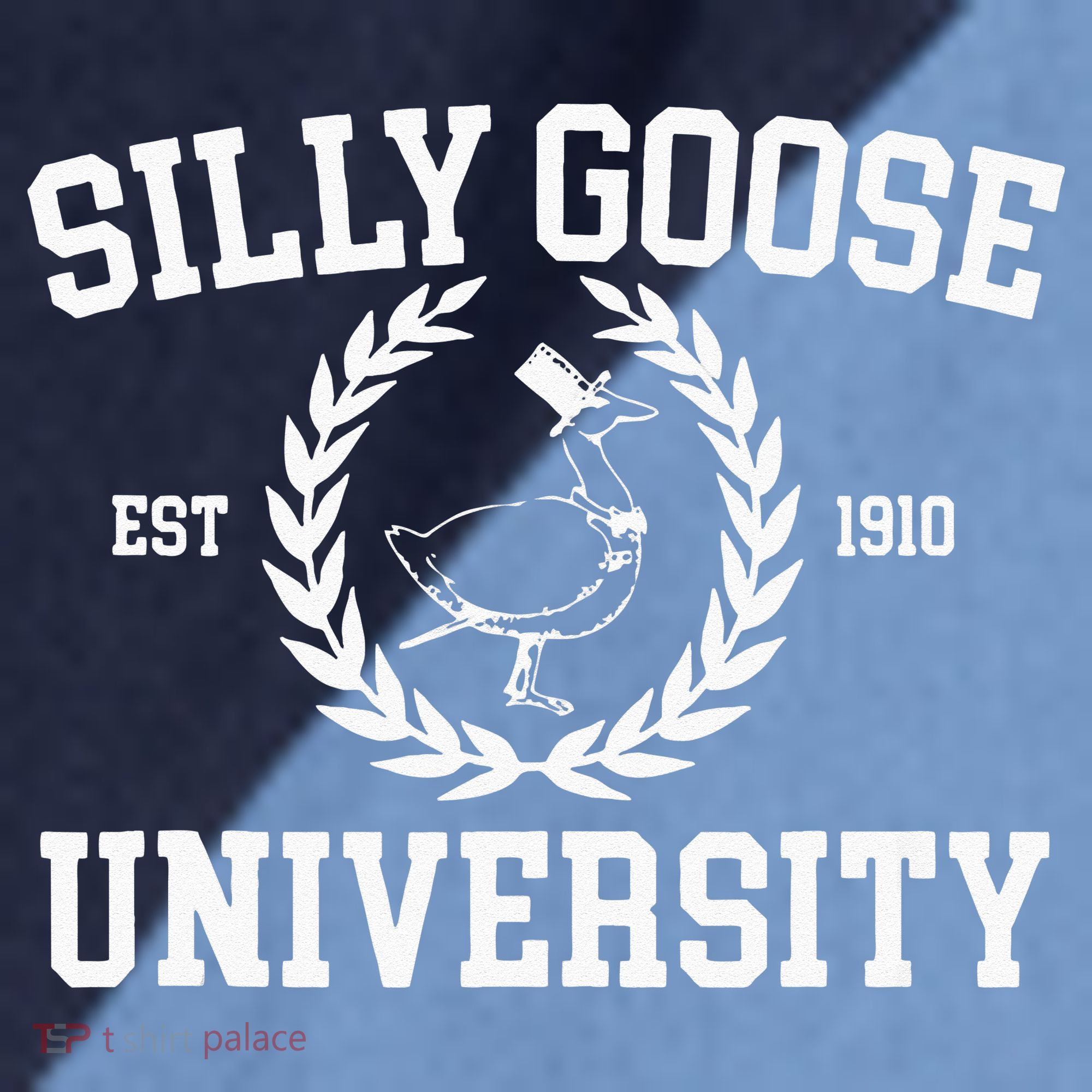 Silly Goose University Silly Goose Meme Raglan Baseball Sleeve Shirt