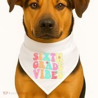 Sixth Grade Vibes 6th Grade First Day Of School Teacher USA-Made Doggie Bandana thumb 1