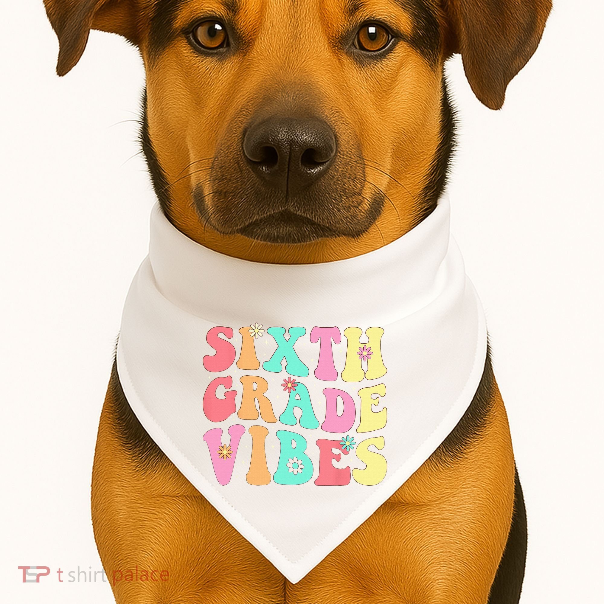 Sixth Grade Vibes 6th Grade First Day Of School Teacher USA-Made Doggie Bandana