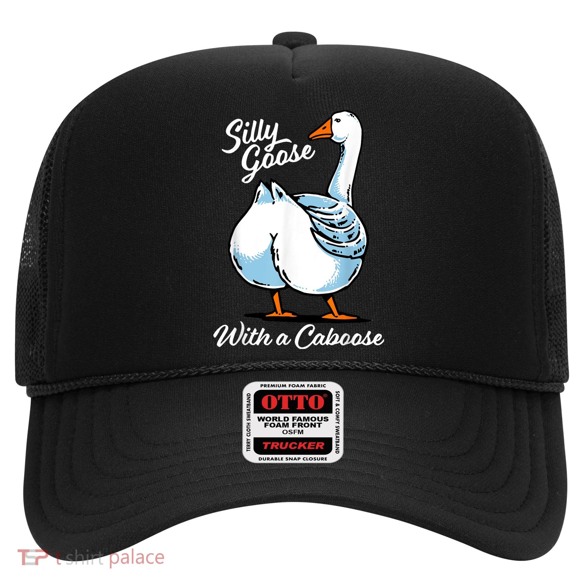 Silly Goose With A Caboose Funny Hat