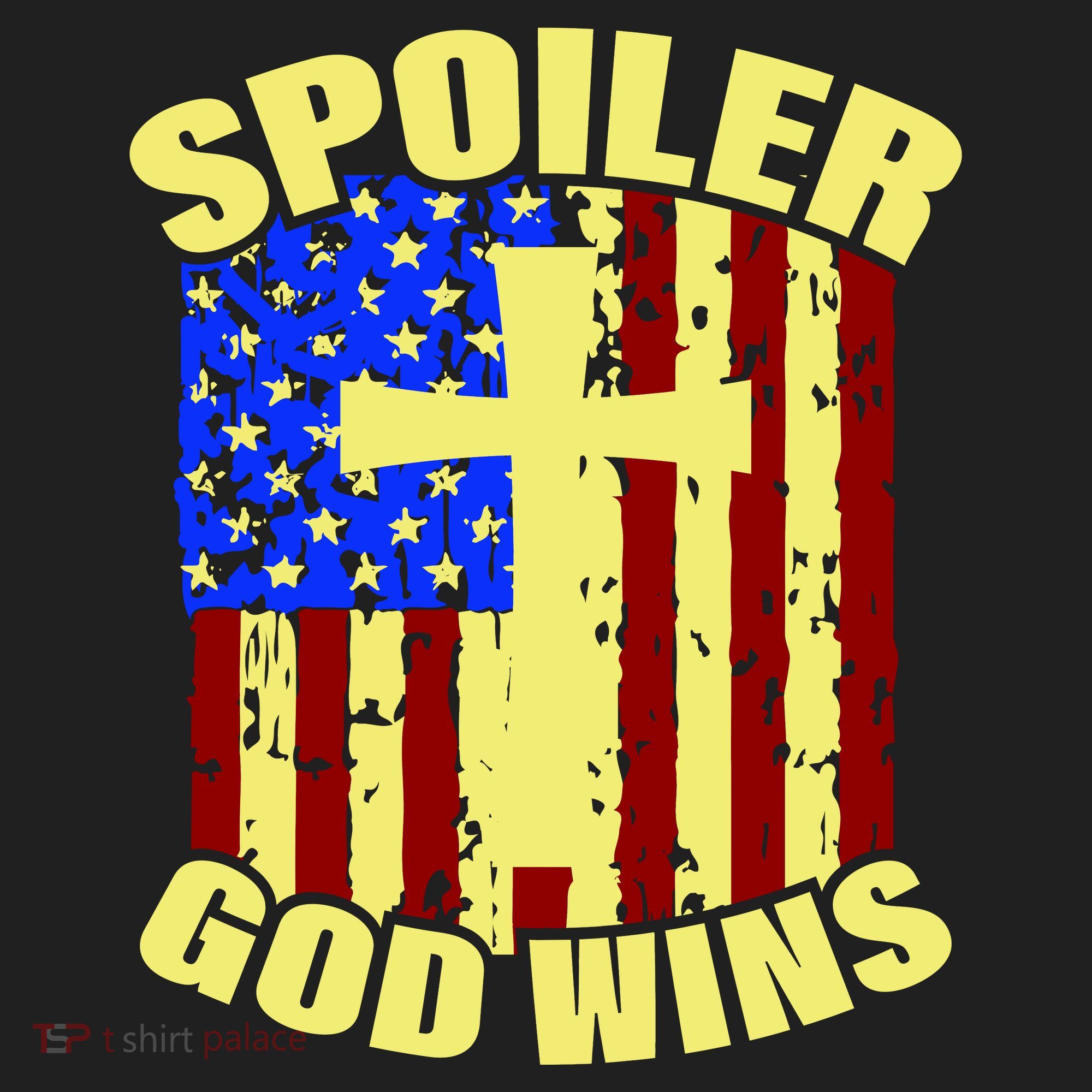 Spoiler God Wins American Flag Beanie