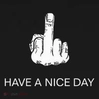 Sarcastic Have A Nice Day Middle Finger Funny Ornament thumb 1