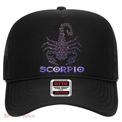 Scorpio Horoscope Astrology Symbol Zodiac Sign Hat