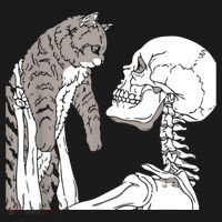Skeleton Holding A Cat Shirt Lazy Halloween Costume Skull Women's Hoodie thumb 2