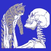 Skeleton Holding A Cat Shirt Lazy Halloween Costume Skull Toddler T-Shirt thumb 4
