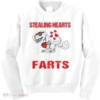 Stealing Hearts And Blasting Farts T Rex Cute Kids Sweatshirt thumb 0