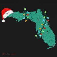 Santa Hat And Lights State Outline Christmas In Florida T-Shirt thumb 7