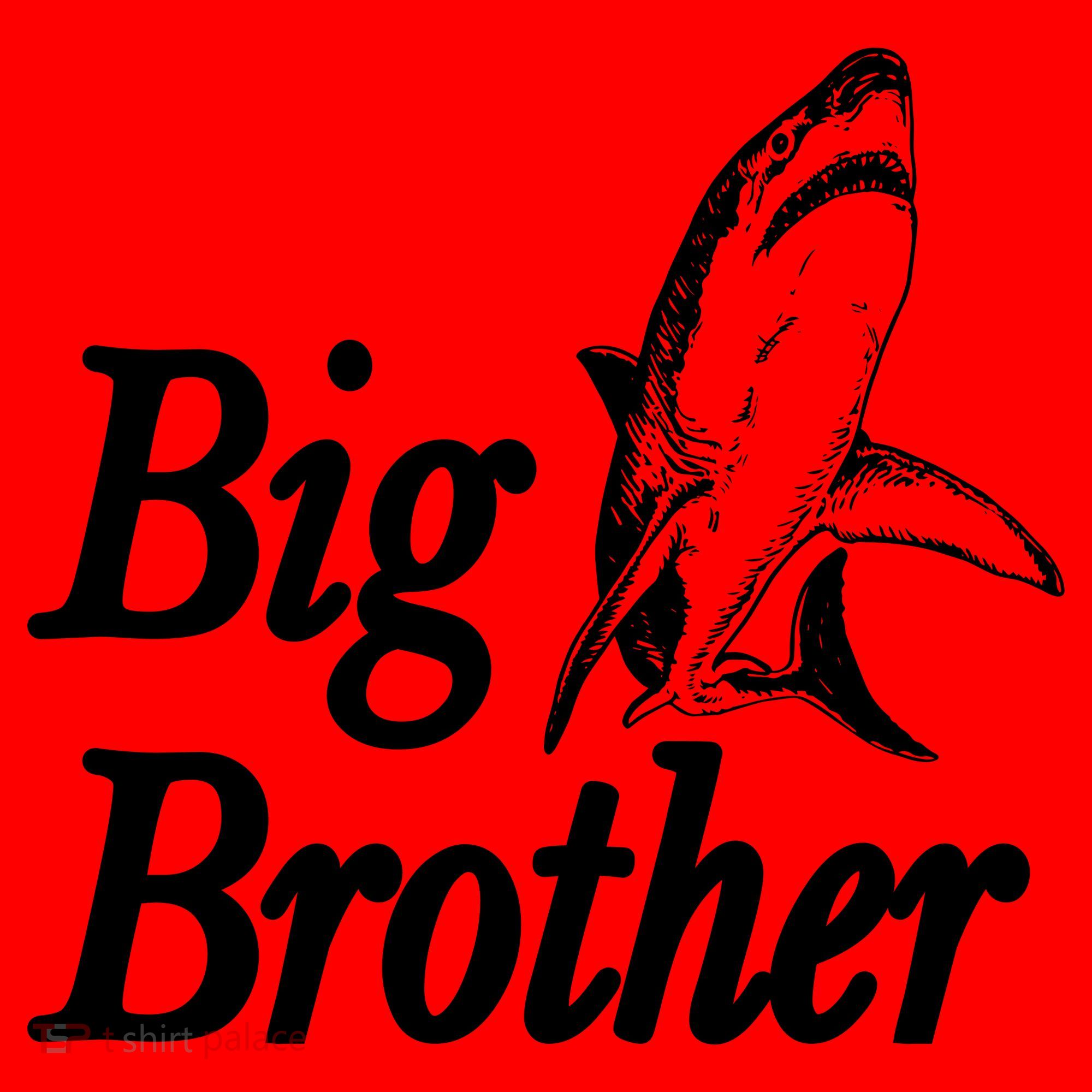Shark Big Brother Logo Santa Hat
