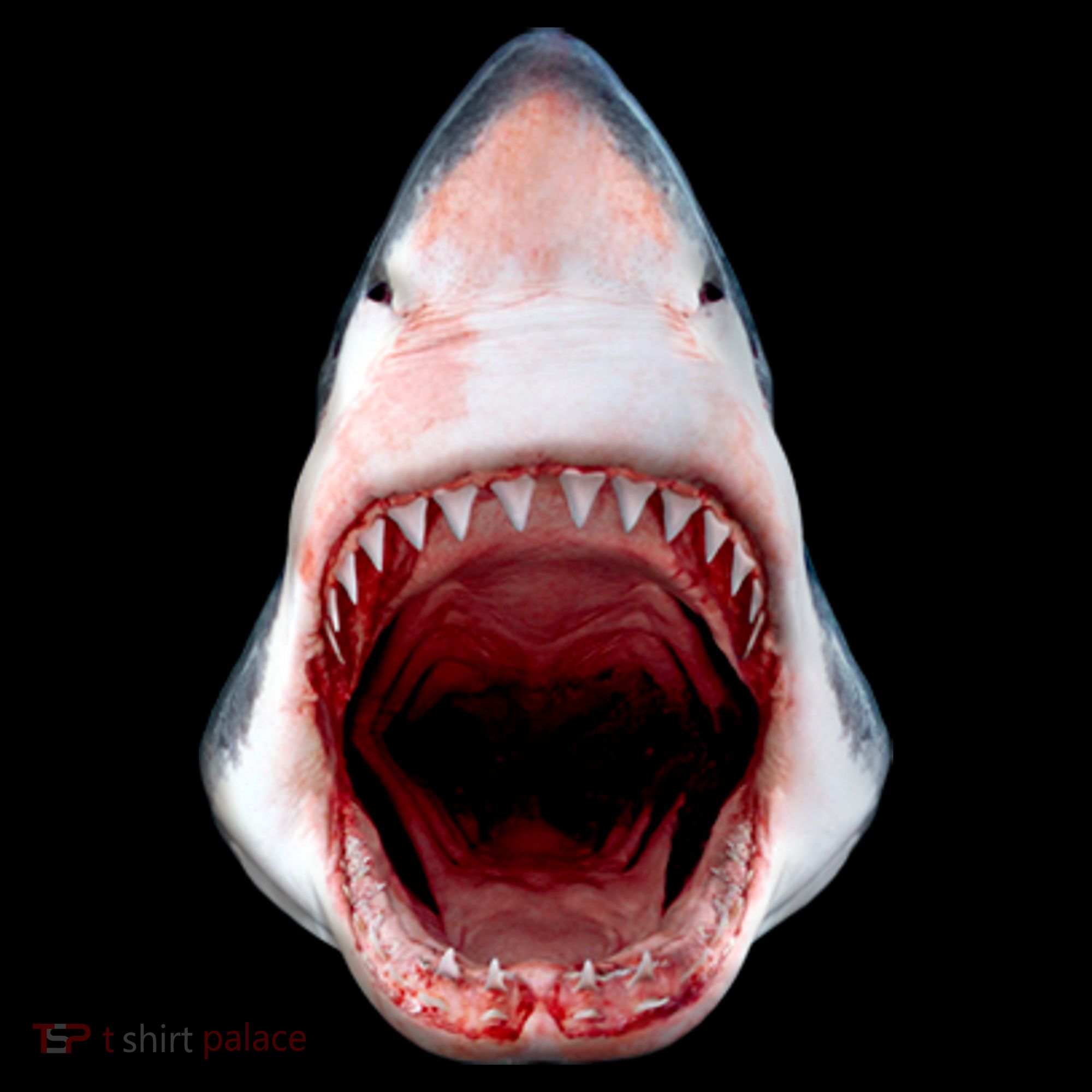 Shark Bite Close Up 3D Apron