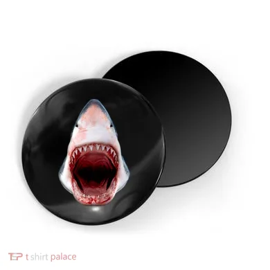 Magnet