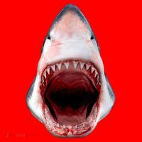 Shark Bite Close Up 3D Santa Hat thumb 1