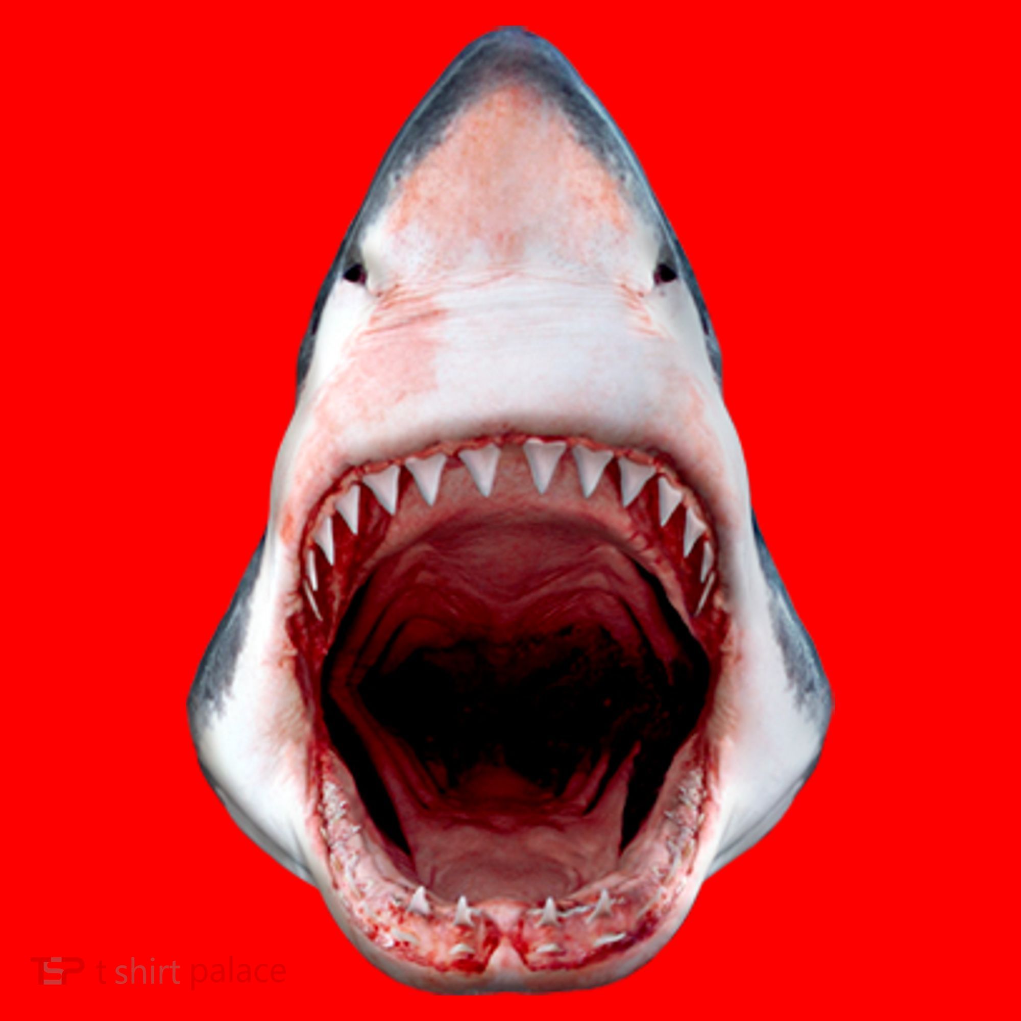 Shark Bite Close Up 3D Santa Hat