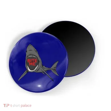 Magnet
