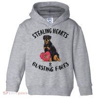 Stealing Hearts Blasting Farts Rottweiler Valentines Day Toddler Hoodie thumb 0