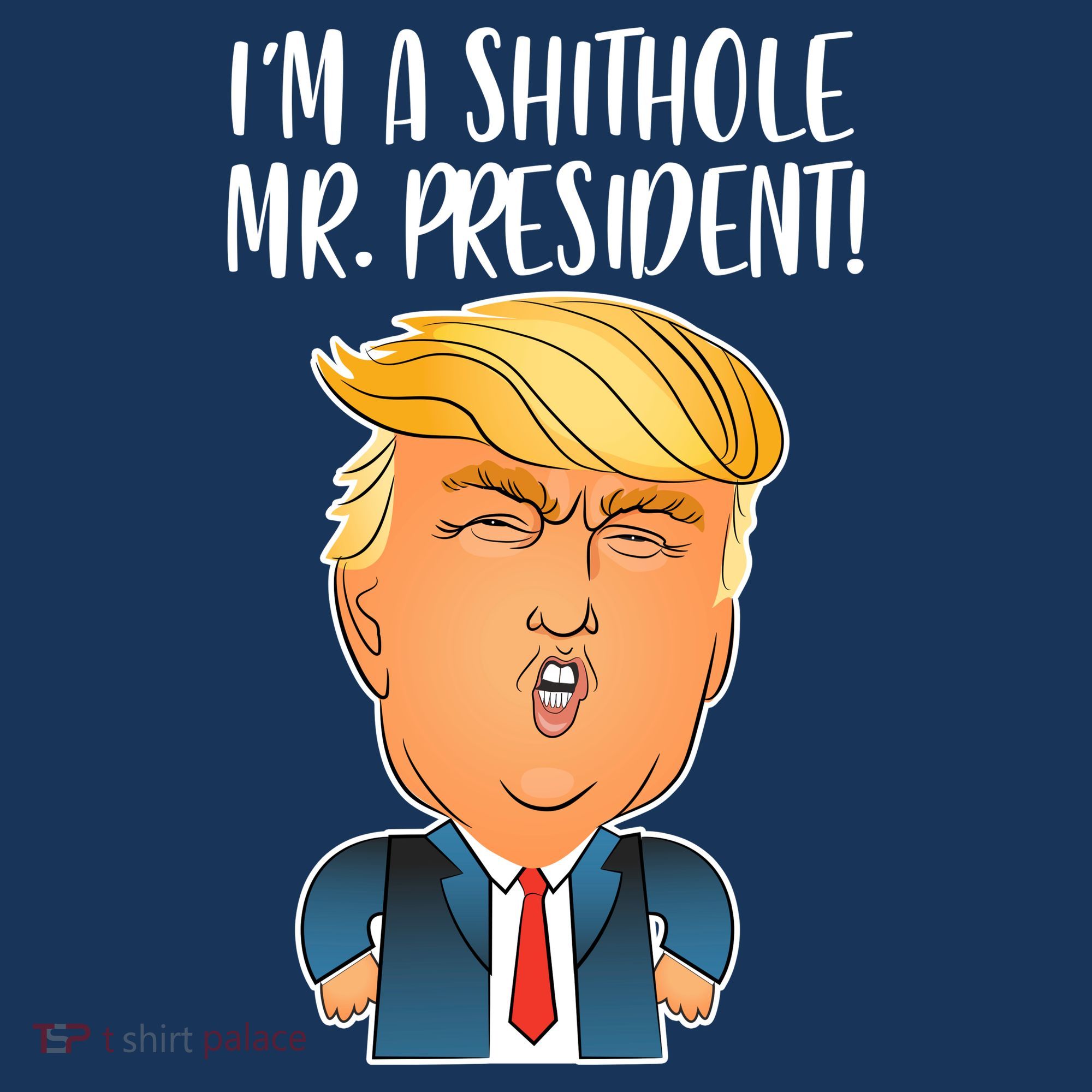 IM A Shithole Mr. President Funny Trump Beanie