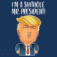 IM A Shithole Mr. President Funny Trump Women's Hoodie thumb 2