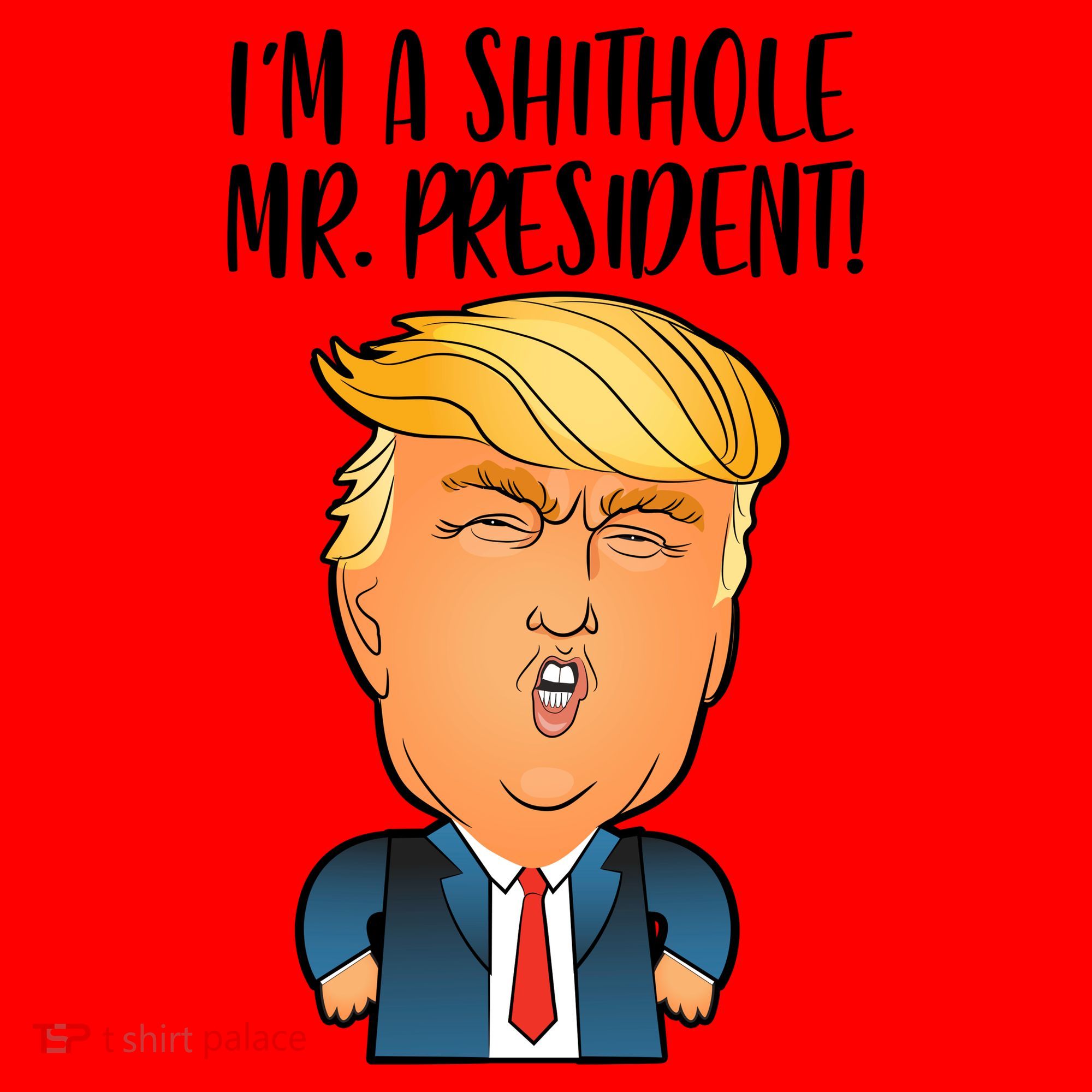 IM A Shithole Mr. President Funny Trump Santa Hat