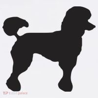 Sock Hop Cutie 50s Costume Big Poodle 1950s Party T-Shirt thumb 7