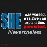 She Was Warned Given An Explanation Persisted Nevertheless T-Shirt thumb 7