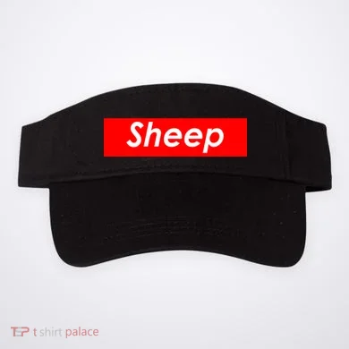 Visor