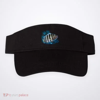 Visor