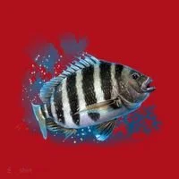 Sheepshead Christmas Stocking thumb 1