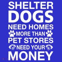 Shelter Dogs Need Homes Visor thumb 3