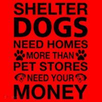 Shelter Dogs Need Homes Santa Hat thumb 1