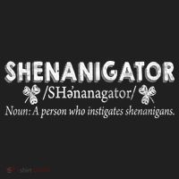 Shenanigator A Person Who Instigates Shenanigans Tumbler thumb 3