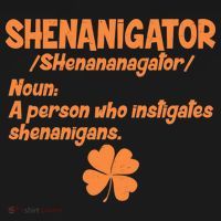 Shenanigator Definition Person Instigates Shenanigans  Bucket Hat thumb 4