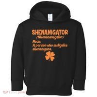 Shenanigator Definition Person Instigates Shenanigans  Toddler Hoodie thumb 0